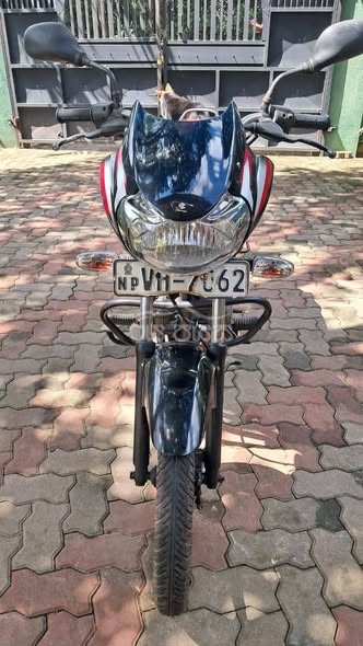Bajaj discovery 100 for sale in Kottawa